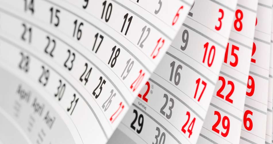 11-month2 11 Month Warranty Inspection Service